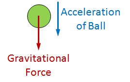 Normal Acceleration
