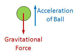 Normal Acceleration